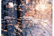 【品趣】今日小雪，广东再次尝试入冬！